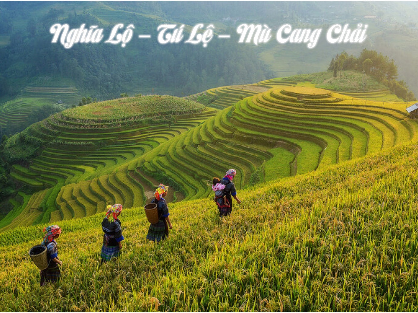 TOUR MÙ CANG CHẢI 3 NGÀY 2 ĐÊM